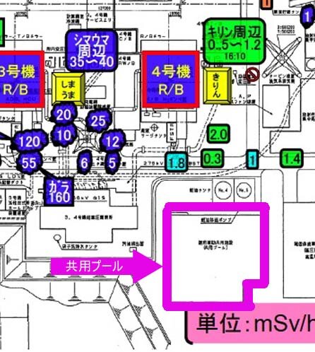 東京電力資料による共用プールの位置とその存在
